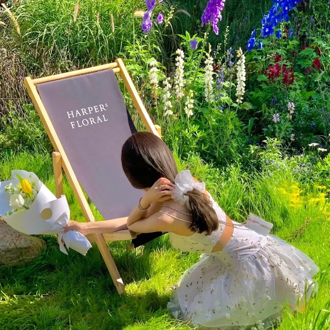 狂澜春醒